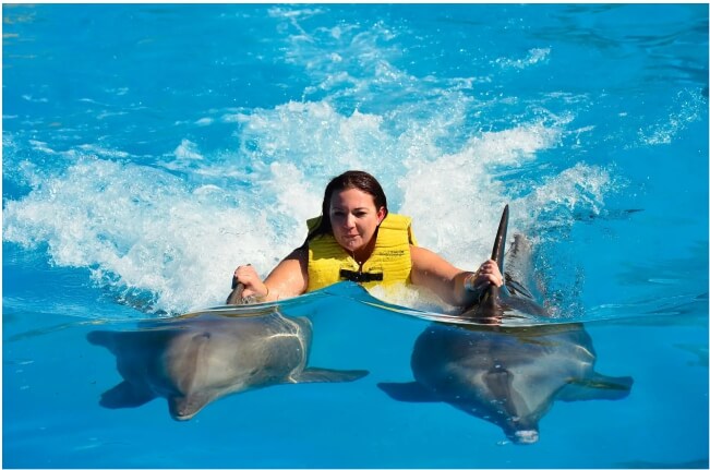 Passeio com dois Golfinhos