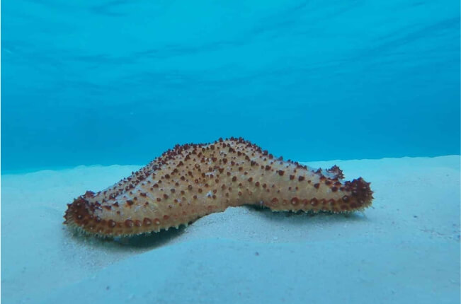Pscinas Naturais Punta Cana