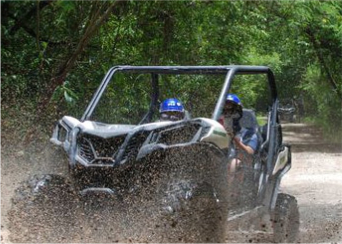 Passeios de Buggies