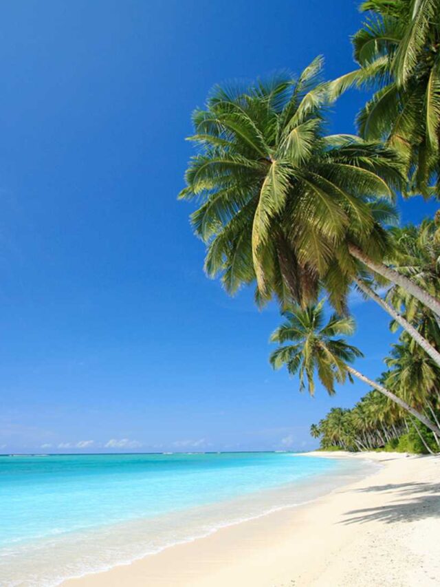 Guia-Completo-de-Punta-Cana-Praia-em-Punta-Cana-2