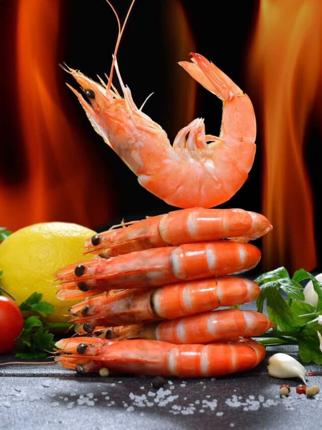 s melhores restaurantes em punta cana